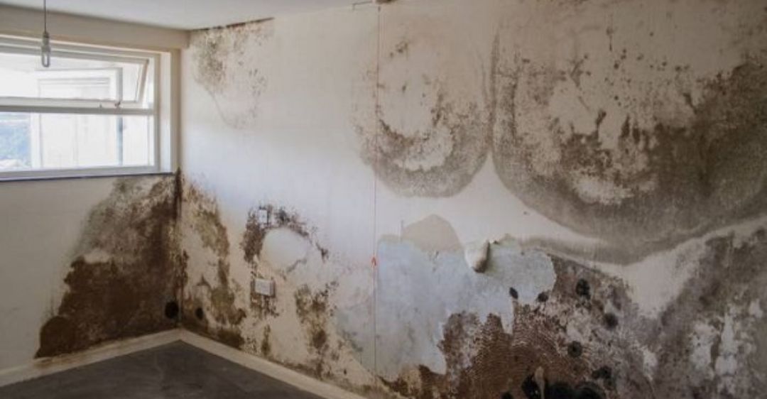 kinh nghiệm cải tạo tường nhà cũ